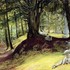 Parkhurst Woods by Richard Redgrave, by Richard Redgrave